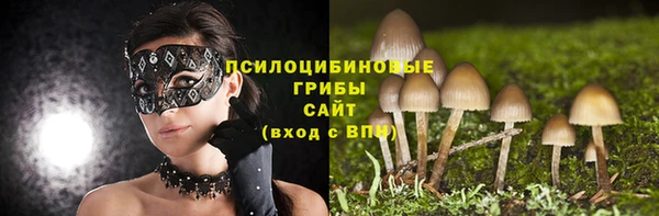 гашик Богородицк