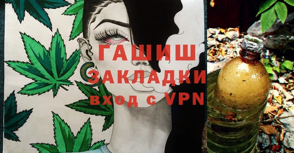 дмт Белокуриха