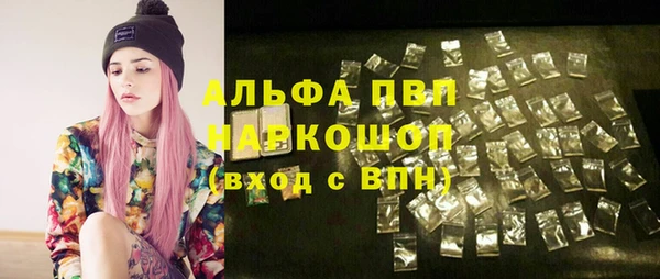 дмт Белокуриха